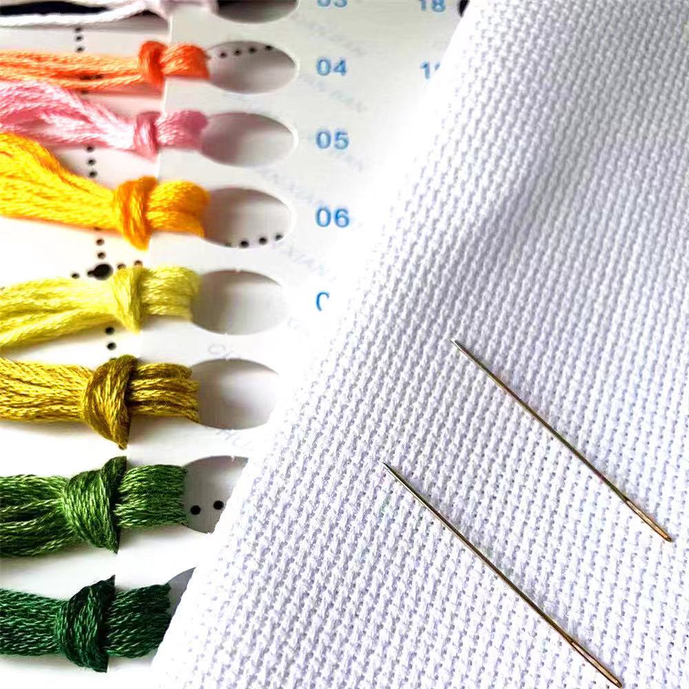 12887 Cross Stitch Kits Sets F - Embroidery Needle recensie en prijs