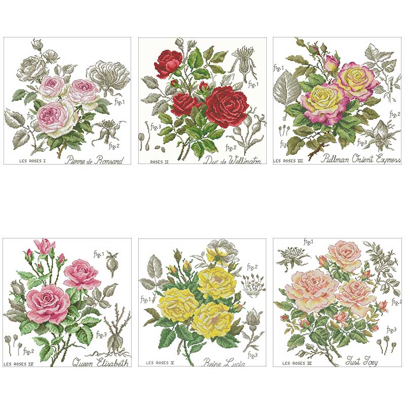 Shadow Rose Patterns Counted 1 - Embroidery Rose Stitch recensie en prijs